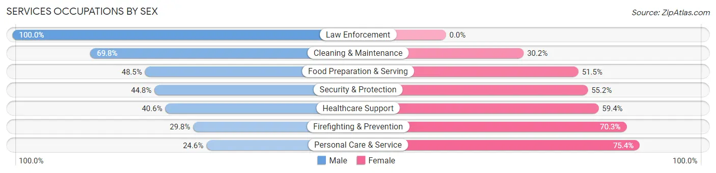 Services Occupations by Sex in Zip Code 19007