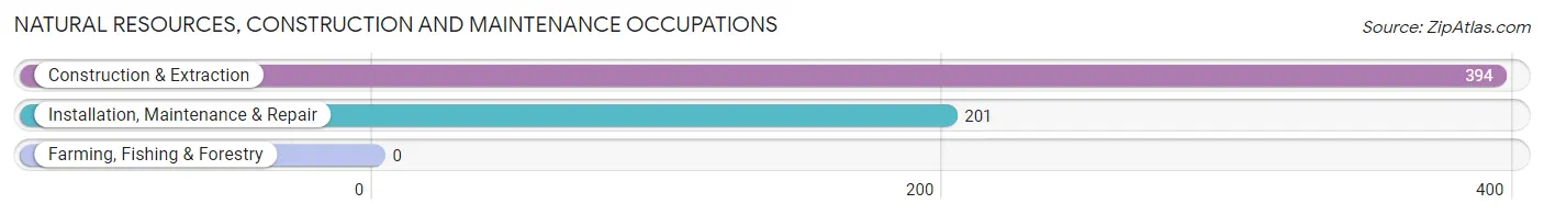 Natural Resources, Construction and Maintenance Occupations in Zip Code 19013