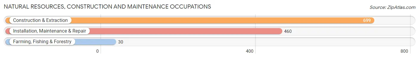 Natural Resources, Construction and Maintenance Occupations in Zip Code 19018