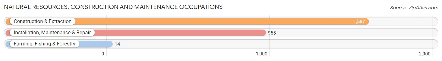 Natural Resources, Construction and Maintenance Occupations in Zip Code 19020