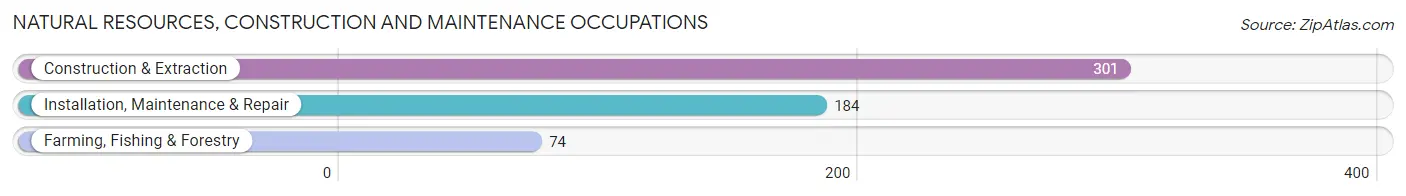 Natural Resources, Construction and Maintenance Occupations in Zip Code 19023