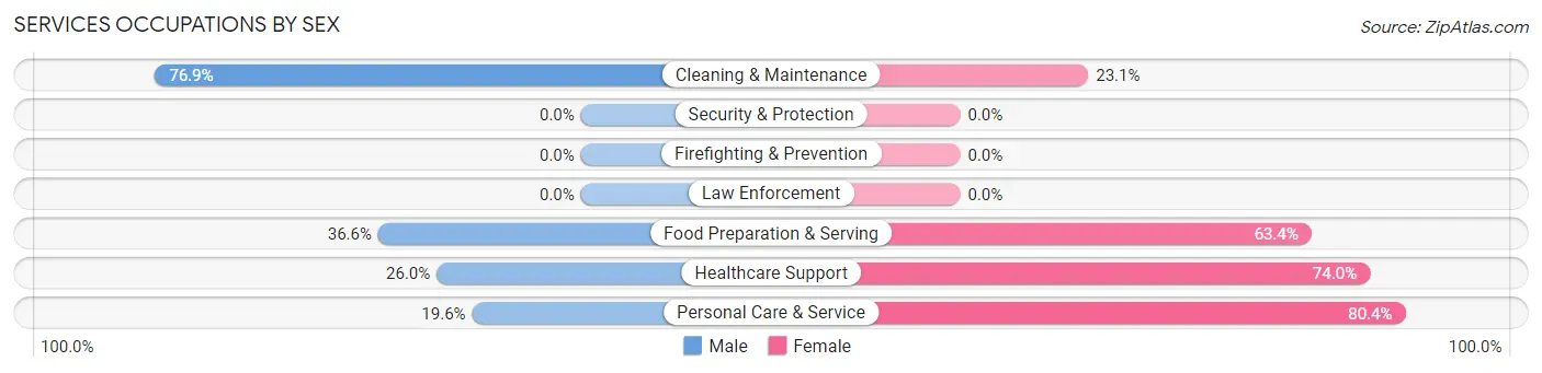 Services Occupations by Sex in Zip Code 19032