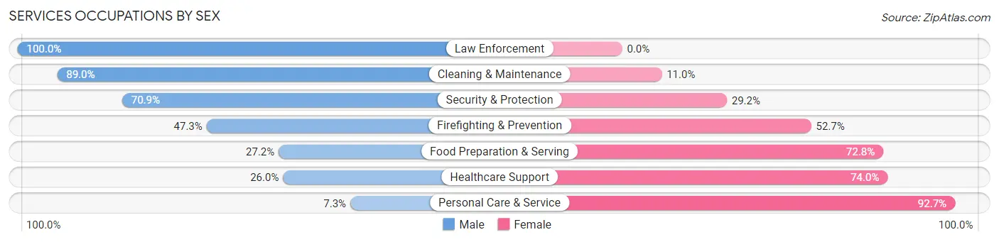 Services Occupations by Sex in Zip Code 19036