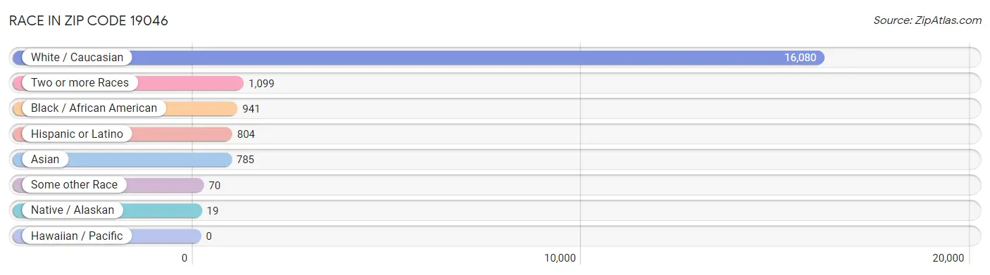 Race in Zip Code 19046