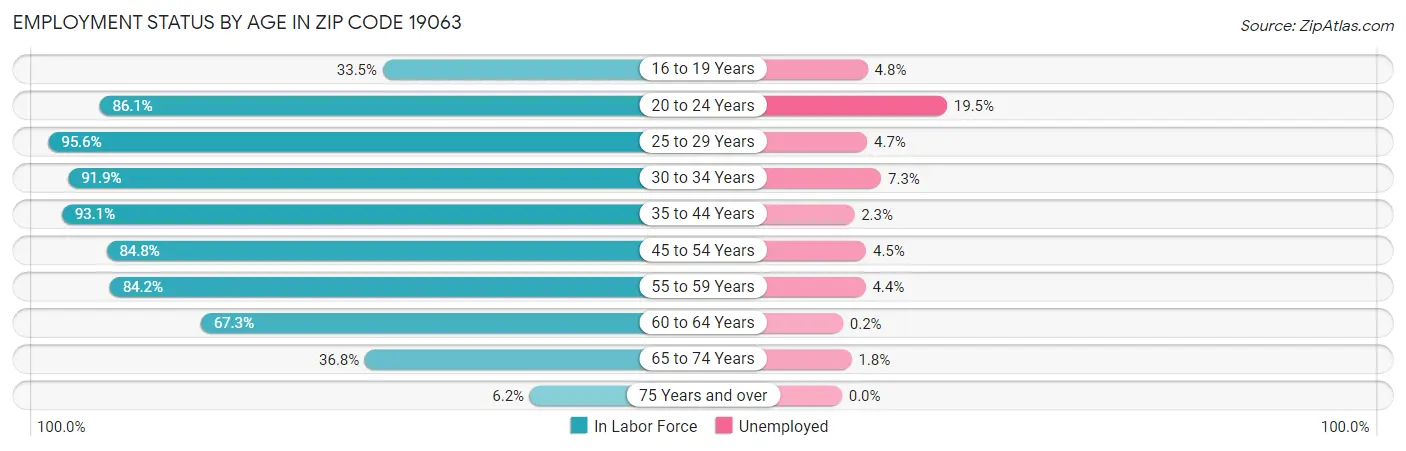 Employment Status by Age in Zip Code 19063