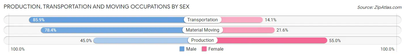 Production, Transportation and Moving Occupations by Sex in Zip Code 19063