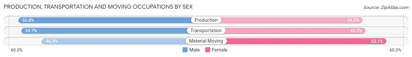 Production, Transportation and Moving Occupations by Sex in Zip Code 19073