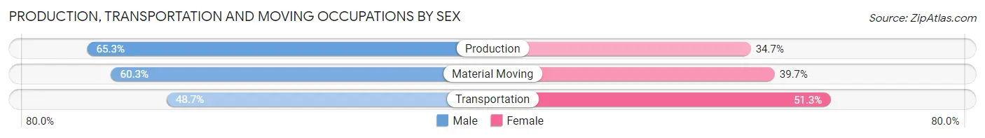 Production, Transportation and Moving Occupations by Sex in Zip Code 19081