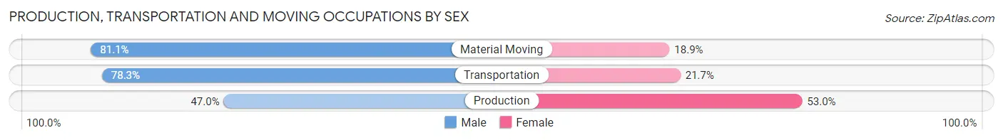 Production, Transportation and Moving Occupations by Sex in Zip Code 19095
