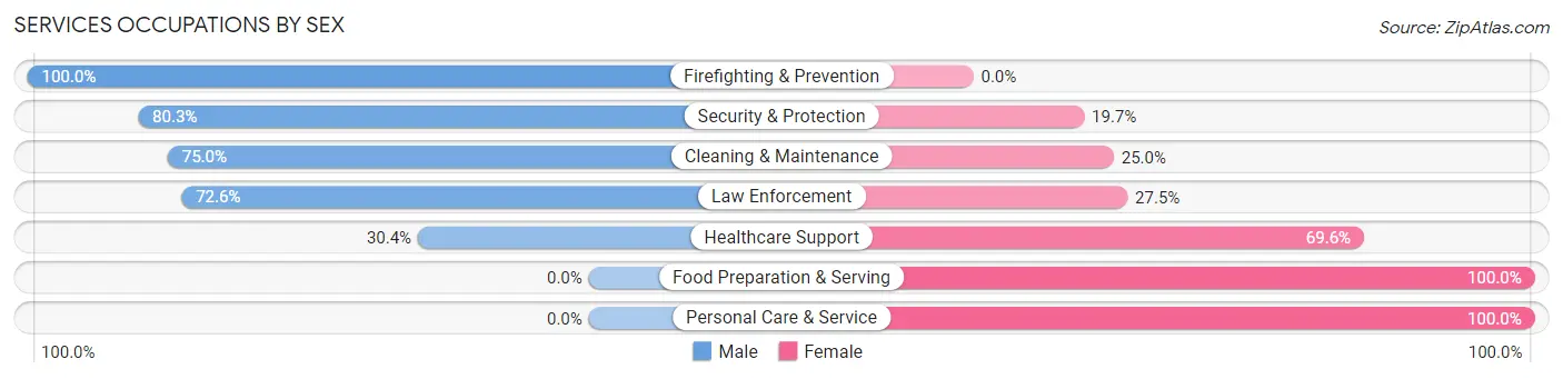 Services Occupations by Sex in Zip Code 19106