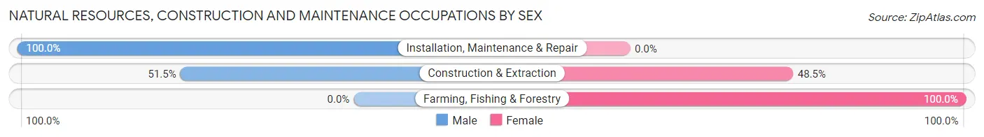 Natural Resources, Construction and Maintenance Occupations by Sex in Zip Code 19123