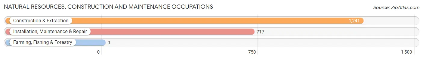 Natural Resources, Construction and Maintenance Occupations in Zip Code 19154