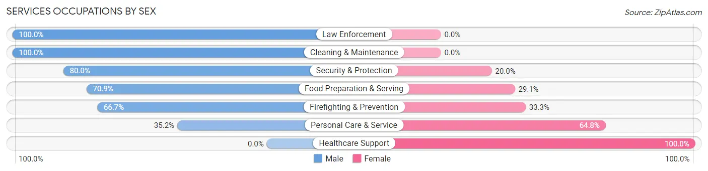 Services Occupations by Sex in Zip Code 19301