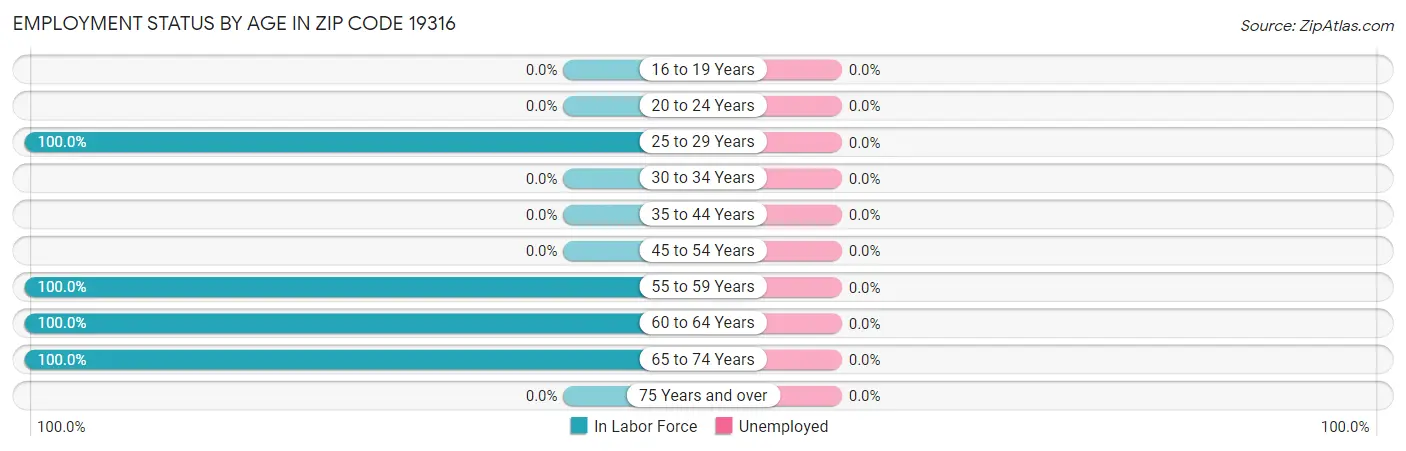Employment Status by Age in Zip Code 19316