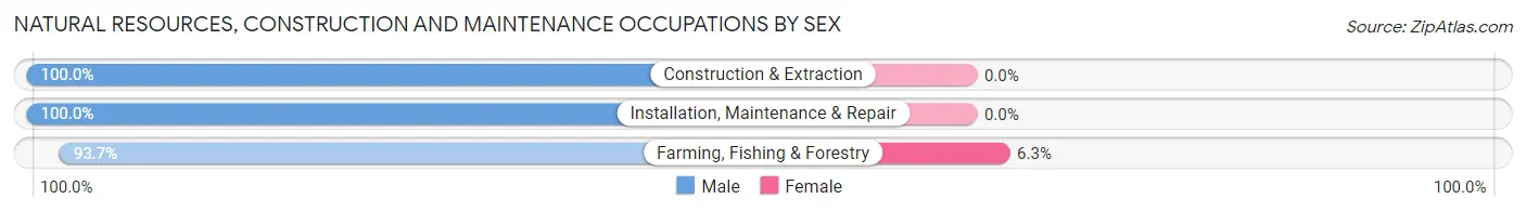 Natural Resources, Construction and Maintenance Occupations by Sex in Zip Code 19330
