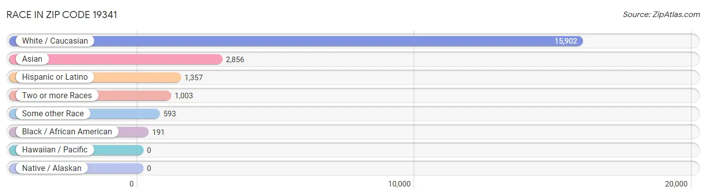 Race in Zip Code 19341