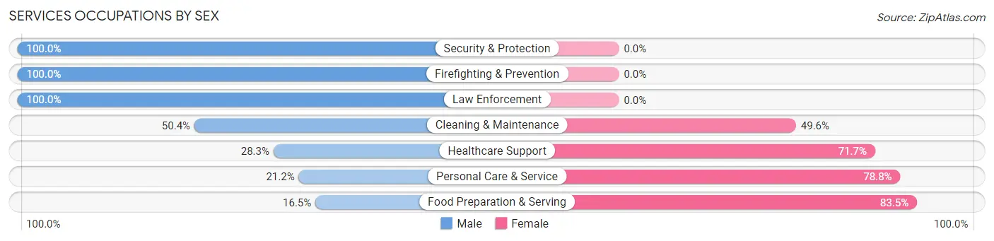 Services Occupations by Sex in Zip Code 19352