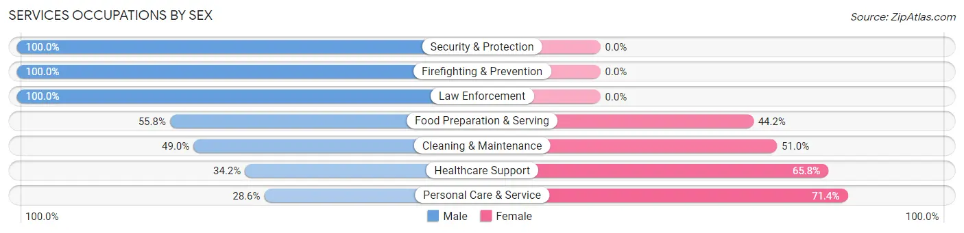 Services Occupations by Sex in Zip Code 19355