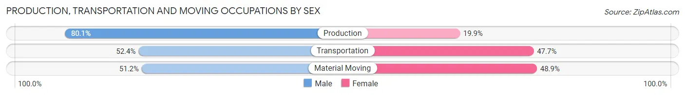 Production, Transportation and Moving Occupations by Sex in Zip Code 19362
