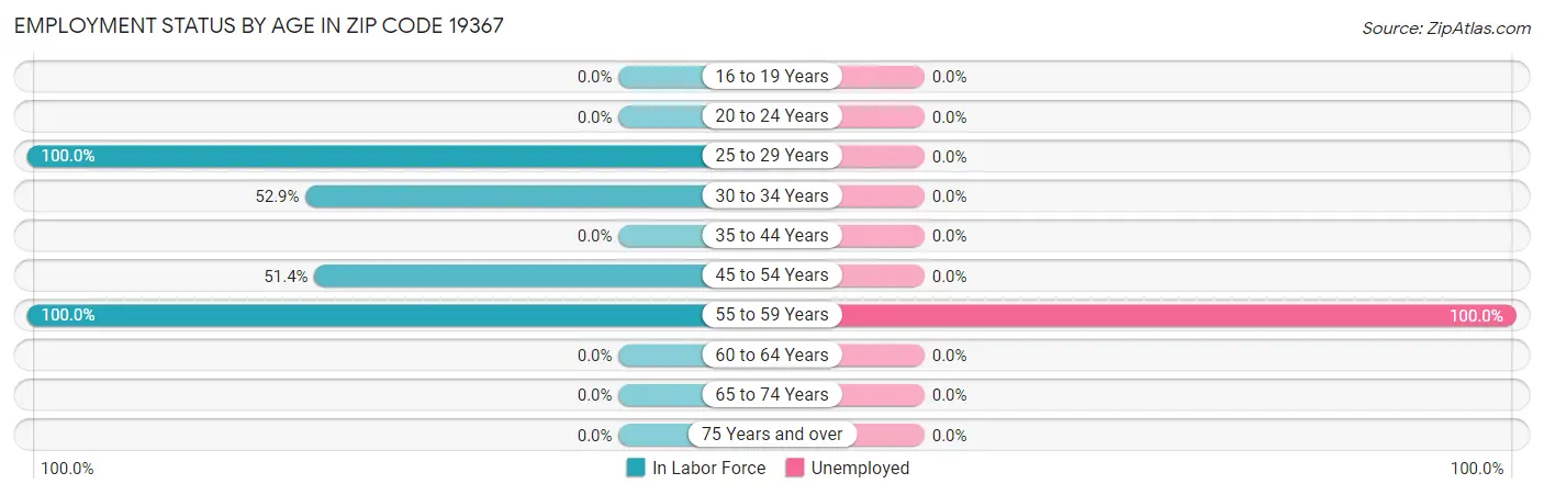 Employment Status by Age in Zip Code 19367