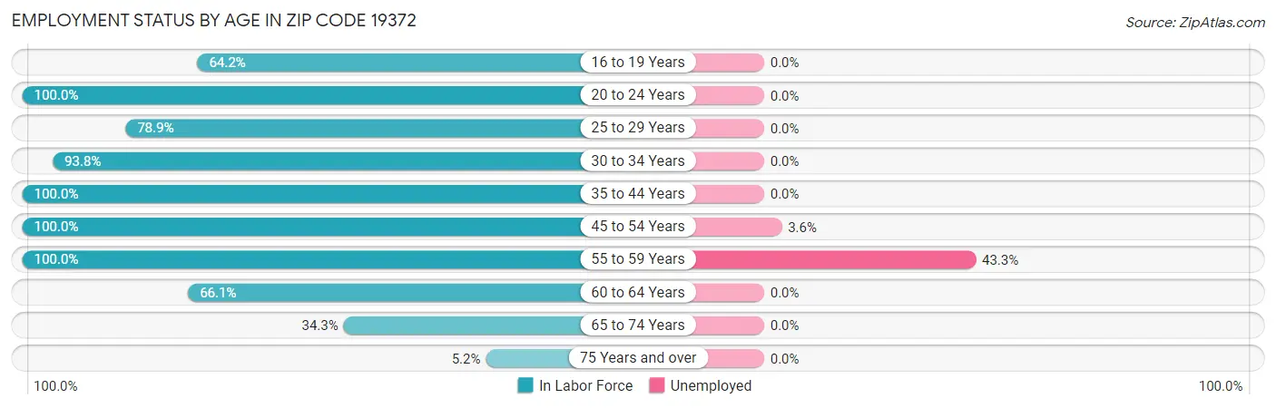 Employment Status by Age in Zip Code 19372