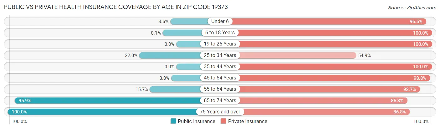 Public vs Private Health Insurance Coverage by Age in Zip Code 19373