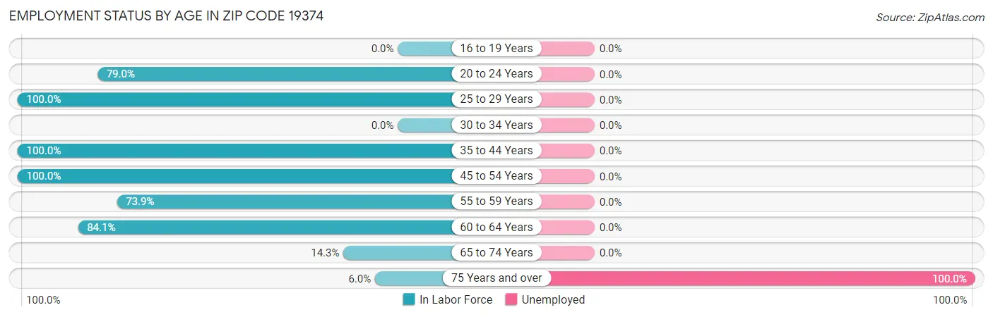 Employment Status by Age in Zip Code 19374