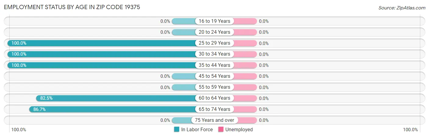 Employment Status by Age in Zip Code 19375