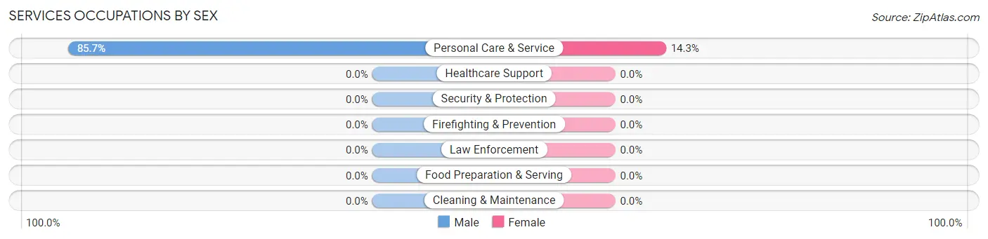 Services Occupations by Sex in Zip Code 19375