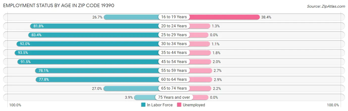 Employment Status by Age in Zip Code 19390