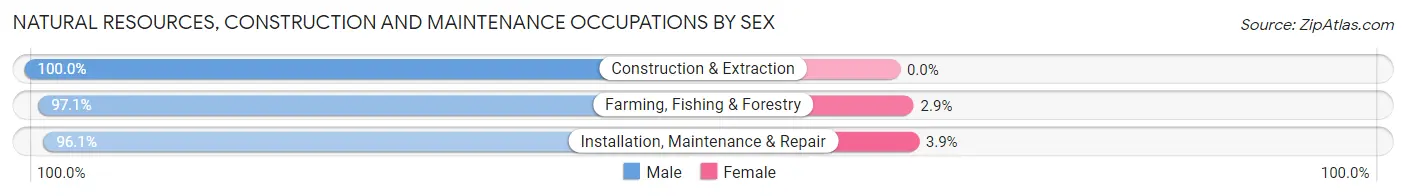 Natural Resources, Construction and Maintenance Occupations by Sex in Zip Code 19403