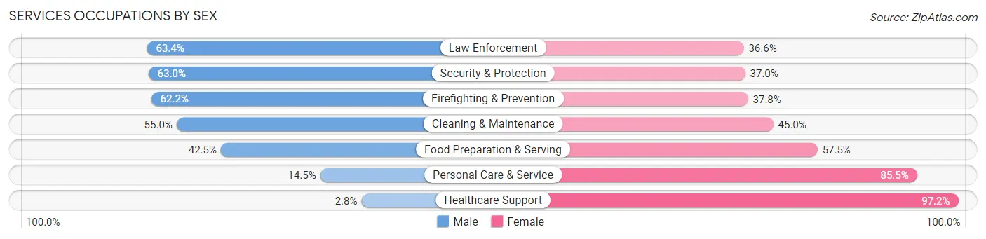 Services Occupations by Sex in Zip Code 19406