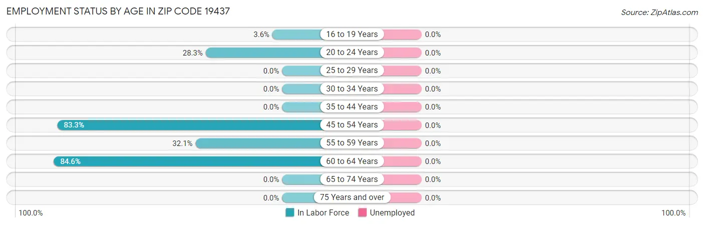 Employment Status by Age in Zip Code 19437