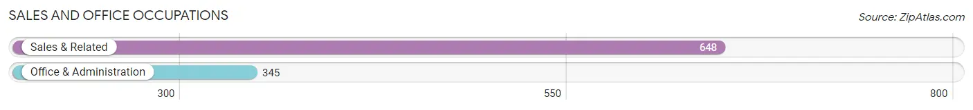 Sales and Office Occupations in Zip Code 19444