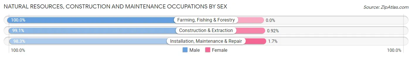 Natural Resources, Construction and Maintenance Occupations by Sex in Zip Code 19446