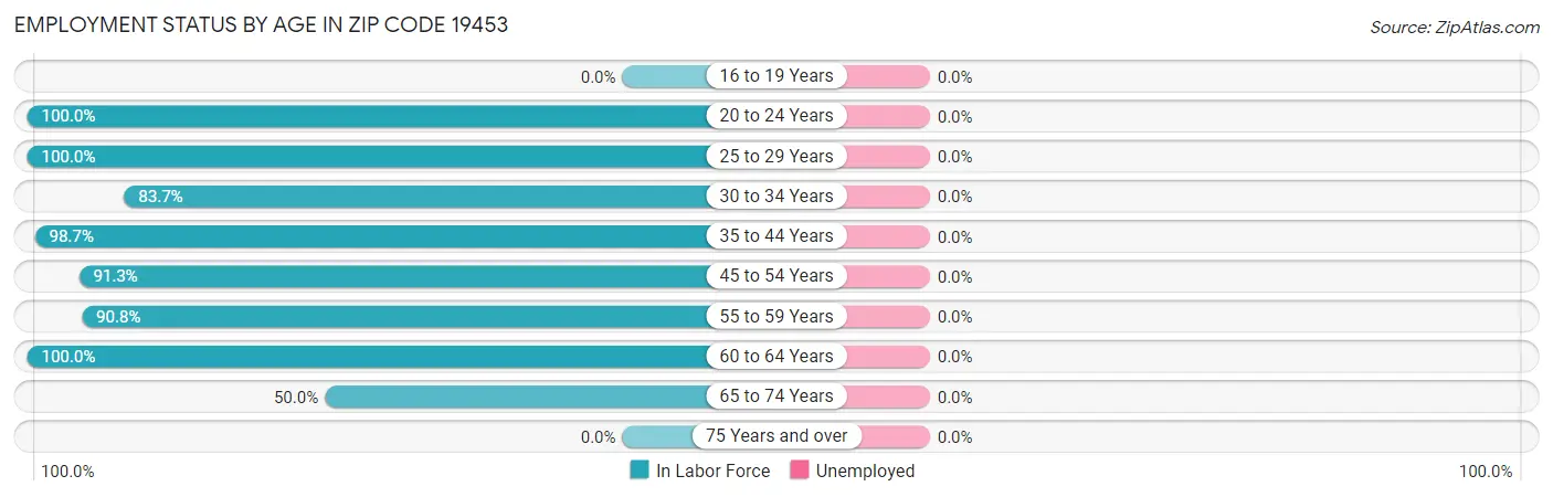 Employment Status by Age in Zip Code 19453