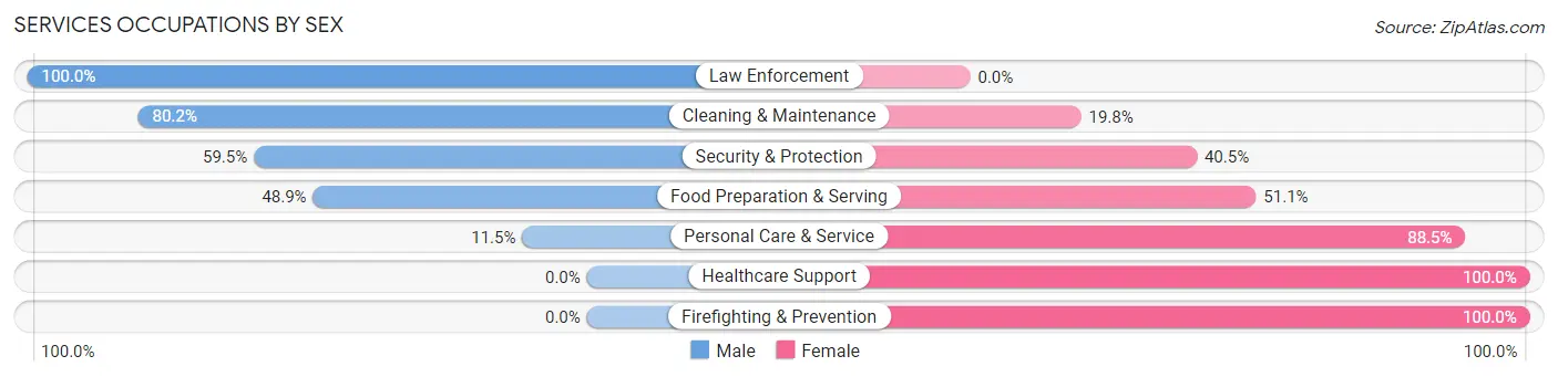 Services Occupations by Sex in Zip Code 19504