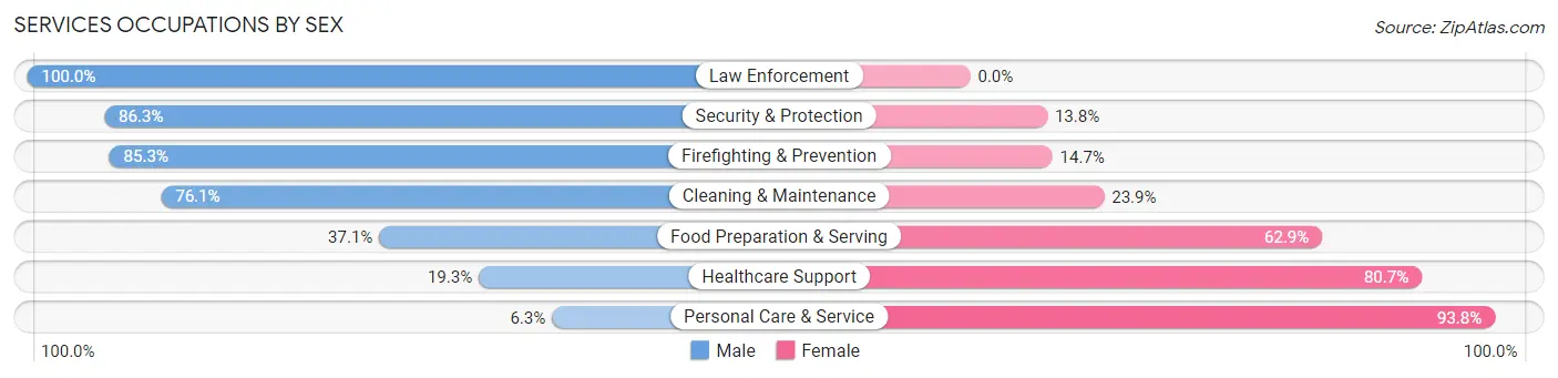 Services Occupations by Sex in Zip Code 19508