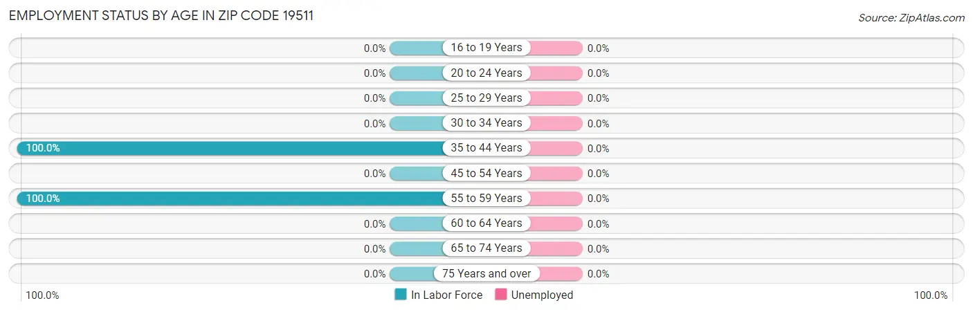 Employment Status by Age in Zip Code 19511