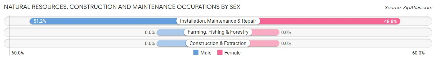 Natural Resources, Construction and Maintenance Occupations by Sex in Zip Code 19511