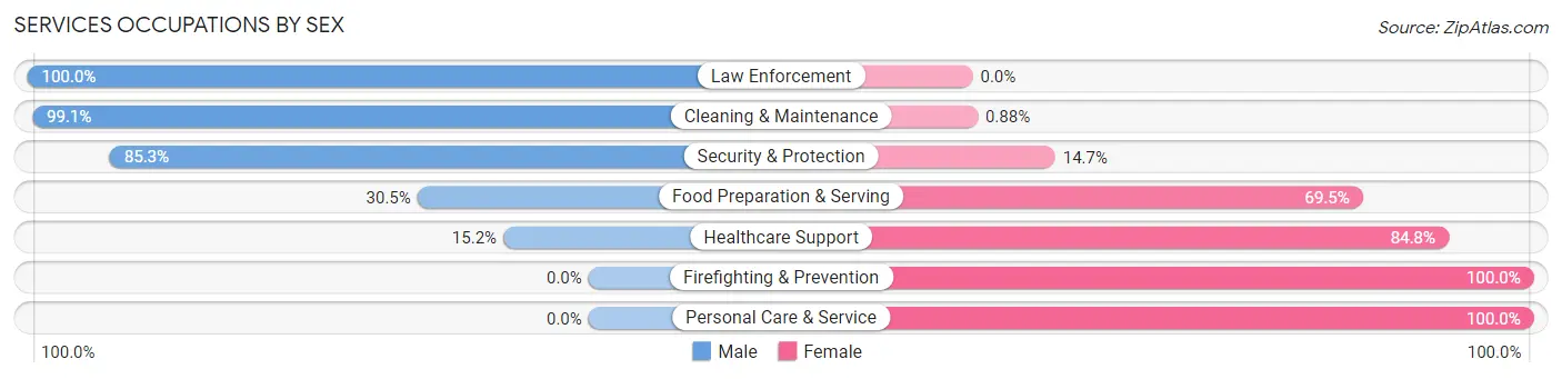 Services Occupations by Sex in Zip Code 19518
