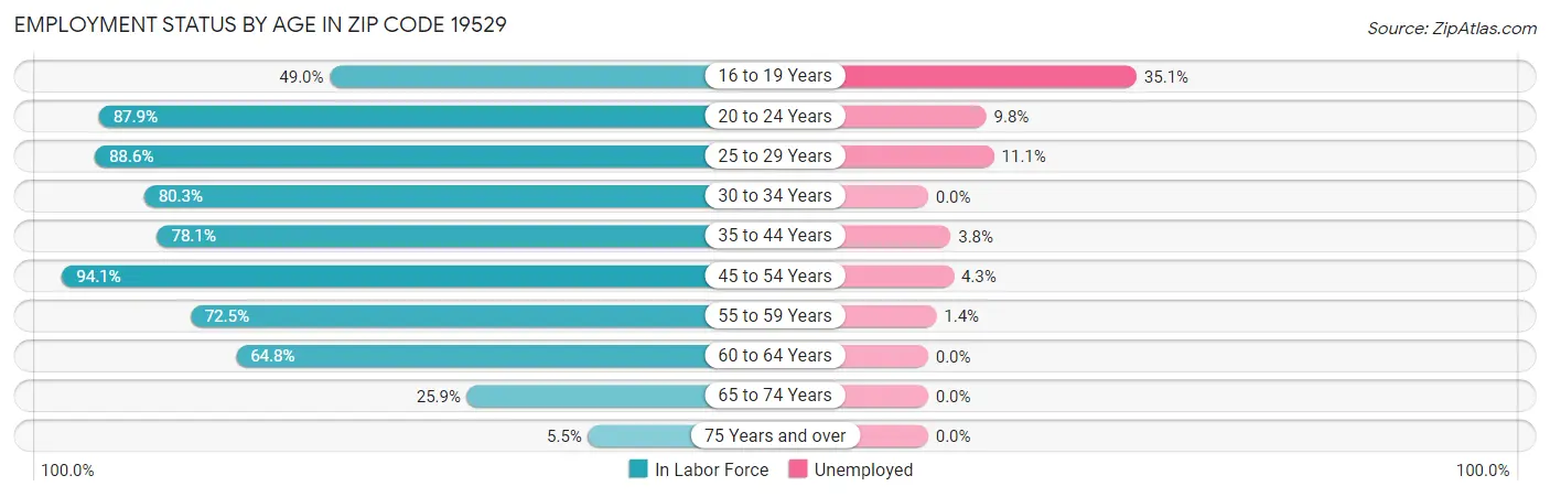 Employment Status by Age in Zip Code 19529