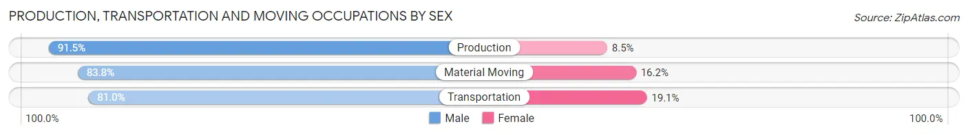 Production, Transportation and Moving Occupations by Sex in Zip Code 19533