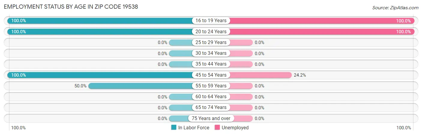 Employment Status by Age in Zip Code 19538
