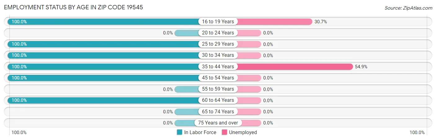 Employment Status by Age in Zip Code 19545