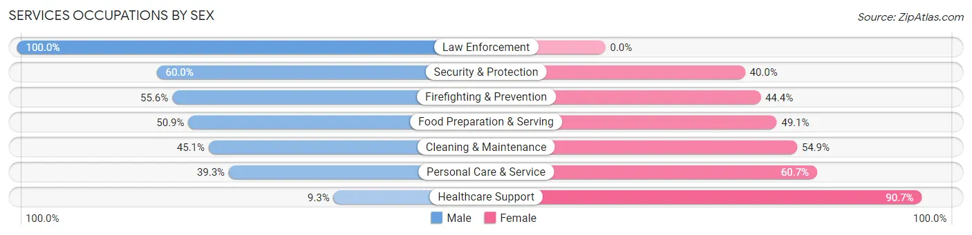 Services Occupations by Sex in Zip Code 19551