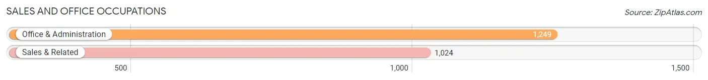 Sales and Office Occupations in Zip Code 19605