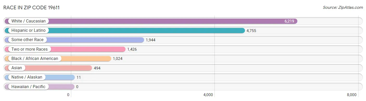 Race in Zip Code 19611