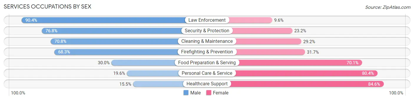 Services Occupations by Sex in Zip Code 19720