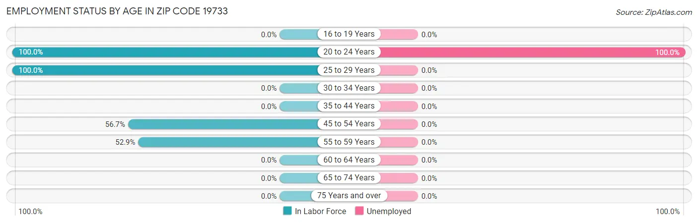 Employment Status by Age in Zip Code 19733